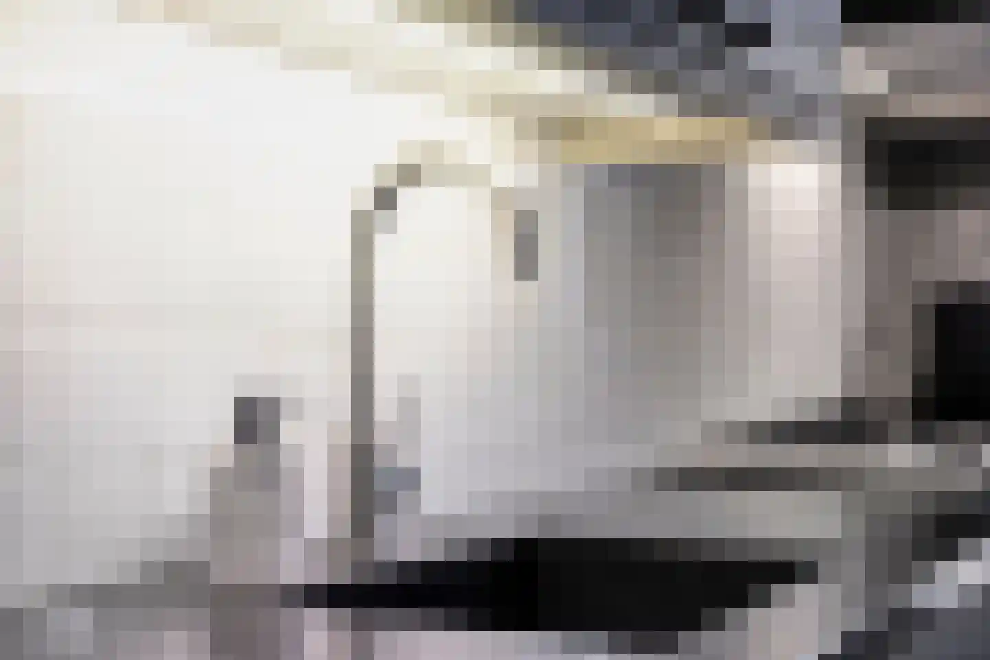 Hooiland 26 Geldrop thumbnail 36