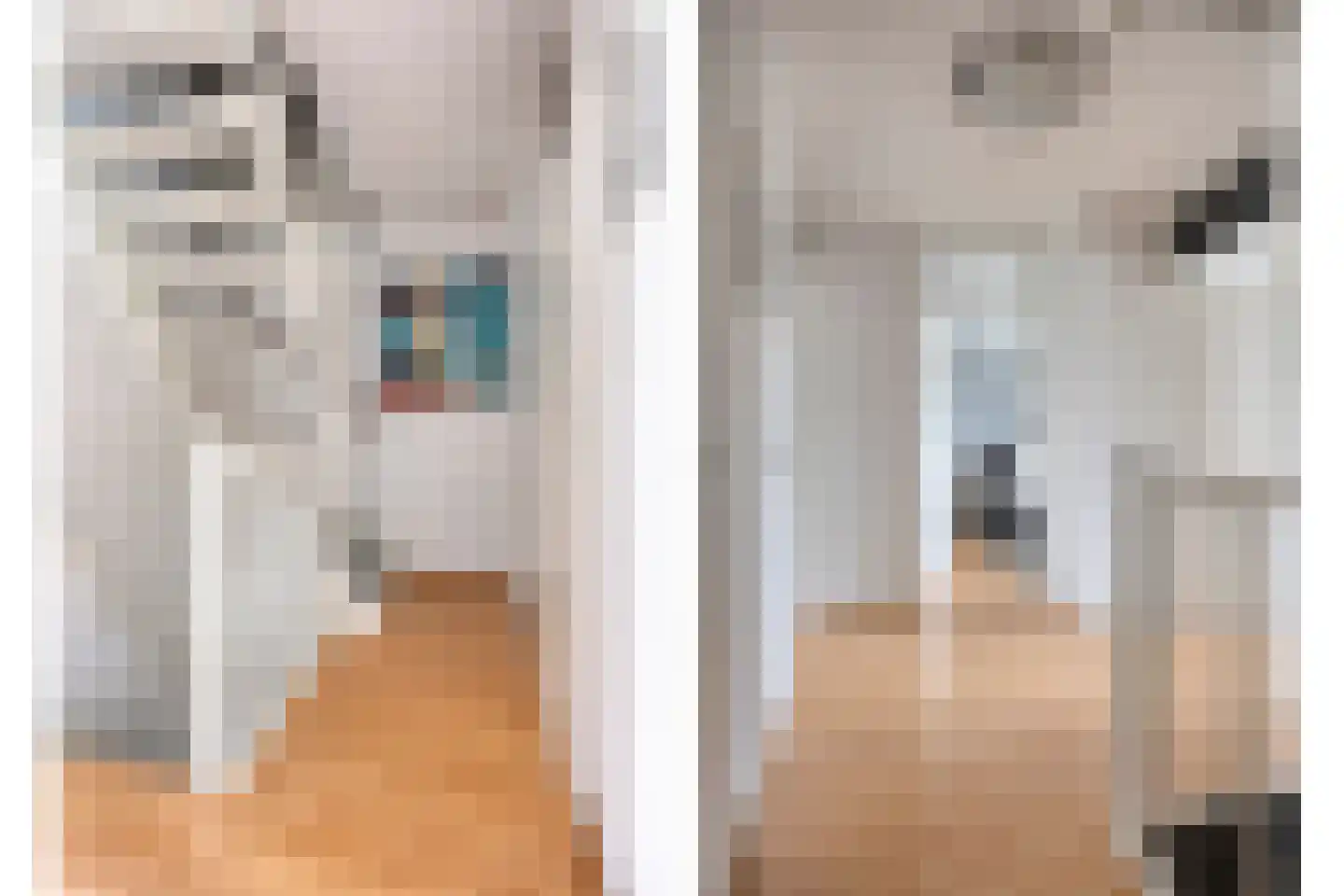 Hooiland 26 Geldrop thumbnail 46