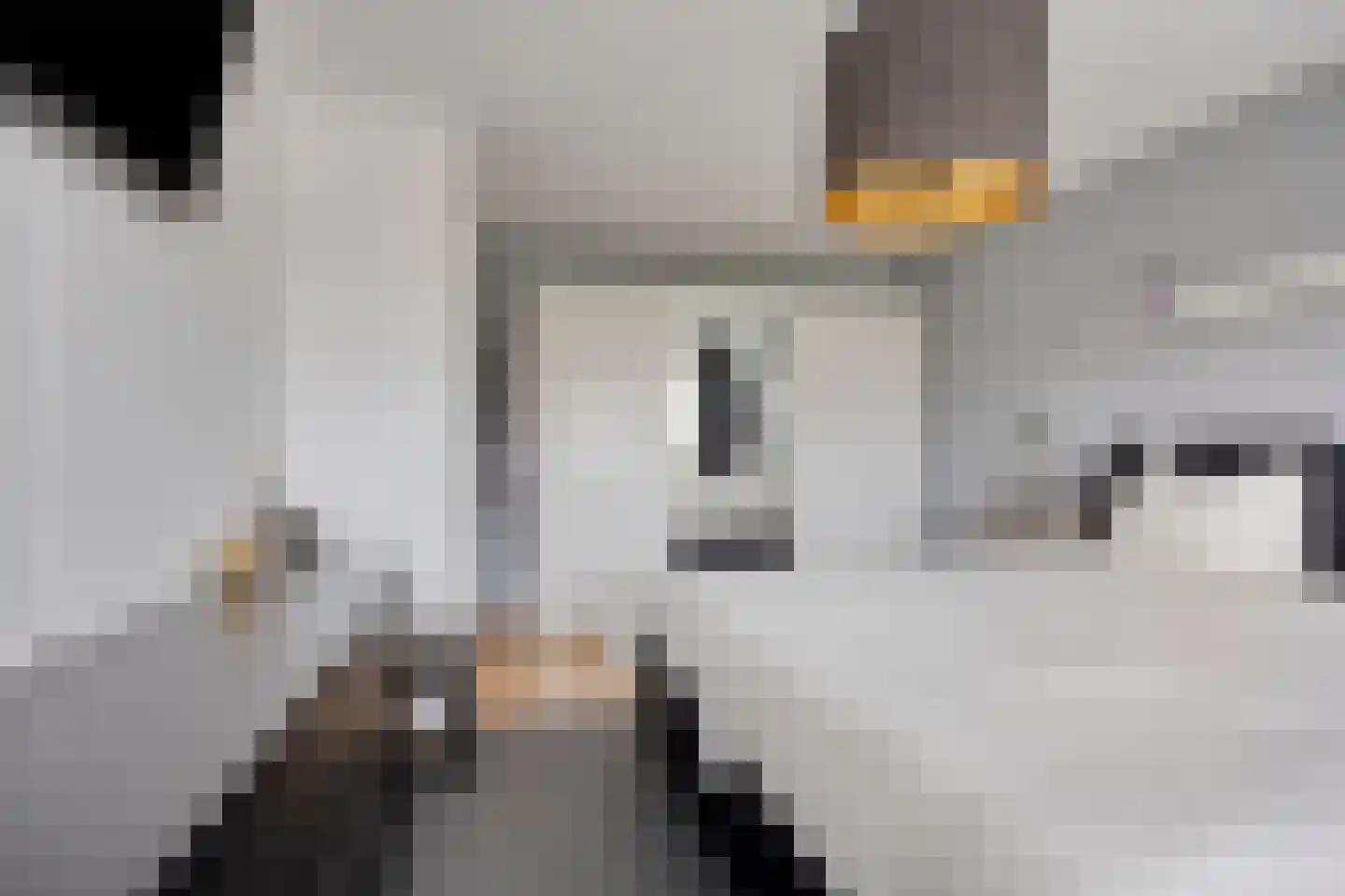 Hooiland 26 Geldrop thumbnail 48