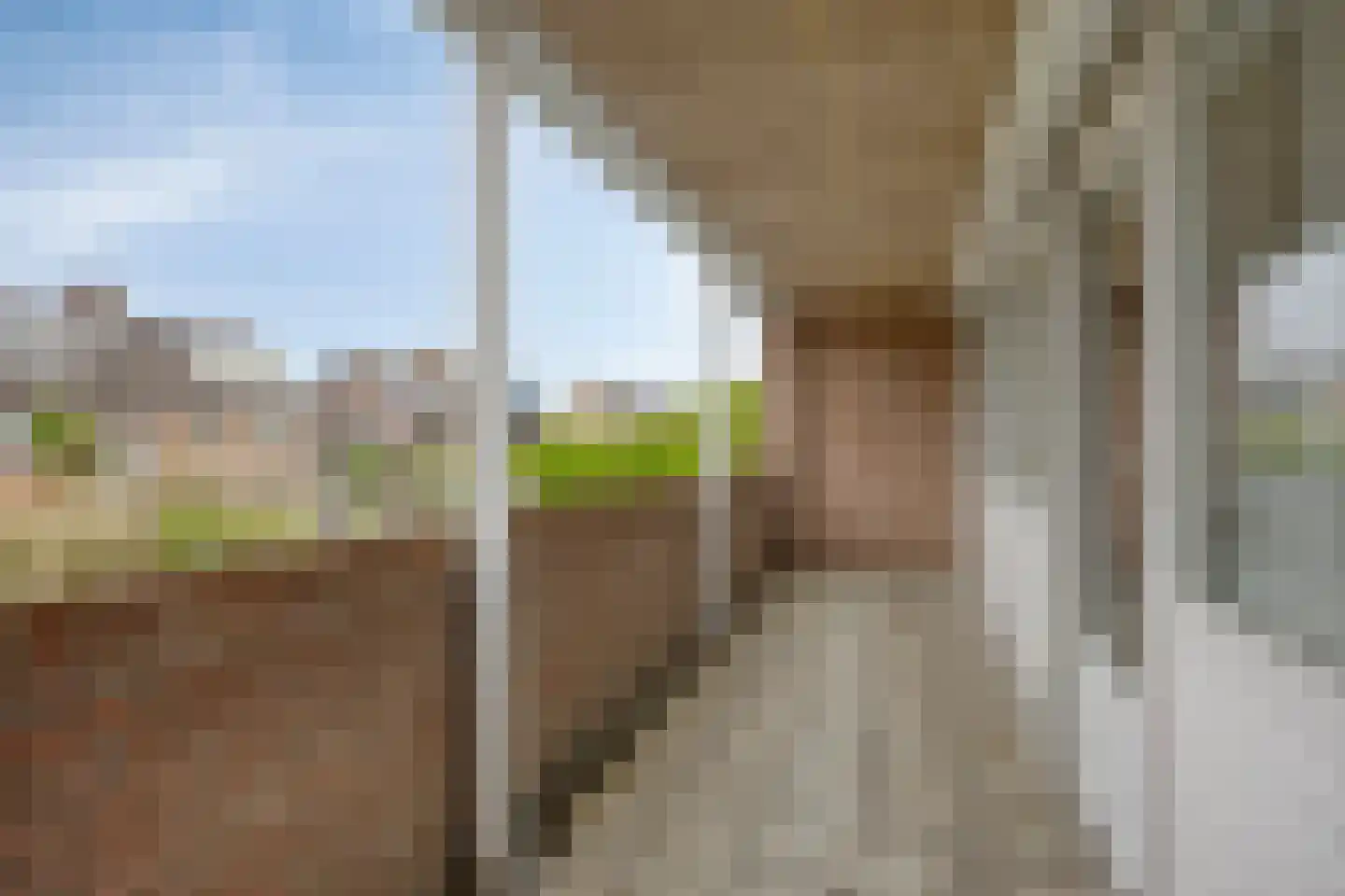 Hooiland 26 Geldrop thumbnail 49
