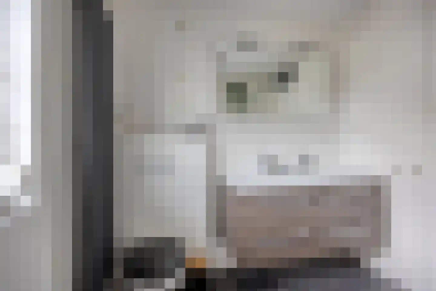 Hooiland 26 Geldrop thumbnail 53