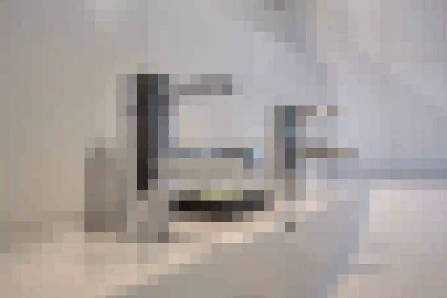 Hooiland 26 Geldrop thumbnail 59