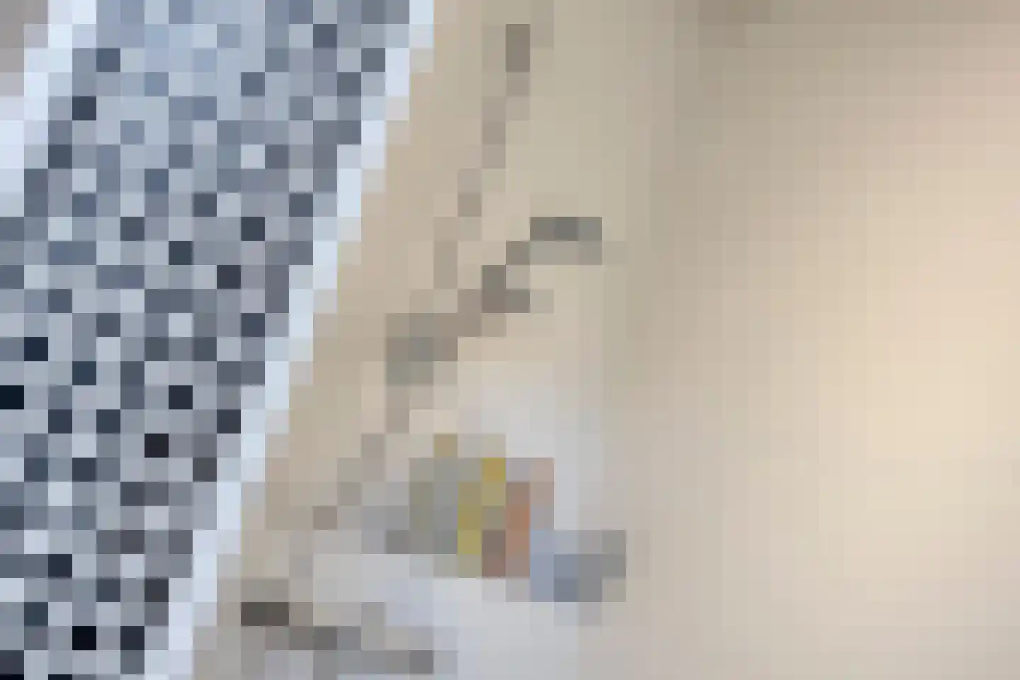 Hooiland 26 Geldrop thumbnail 60