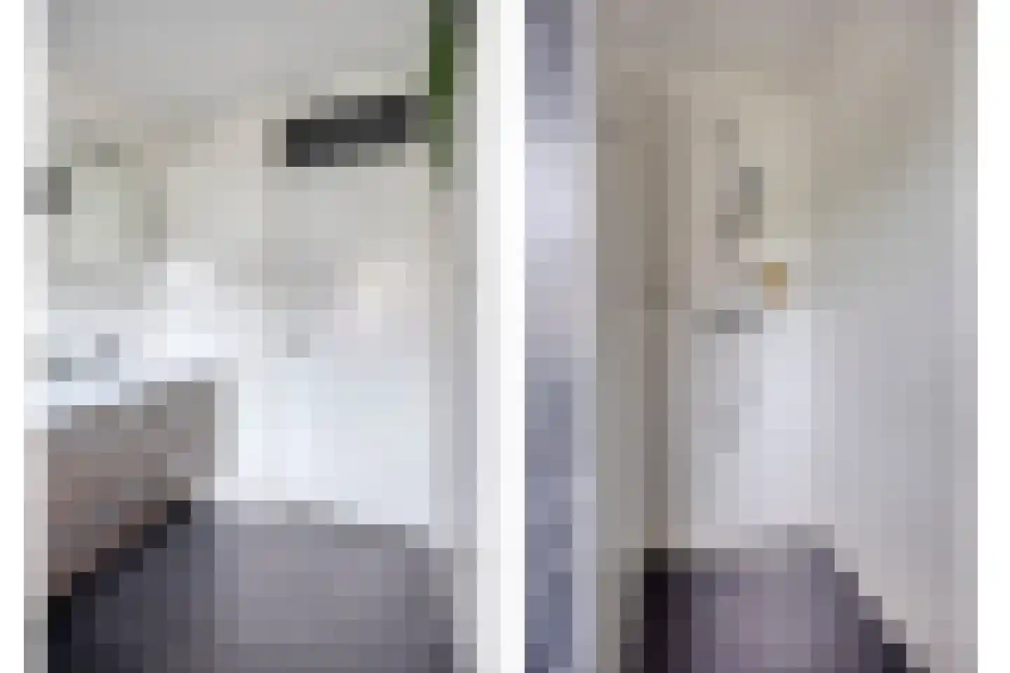 Hooiland 26 Geldrop thumbnail 61