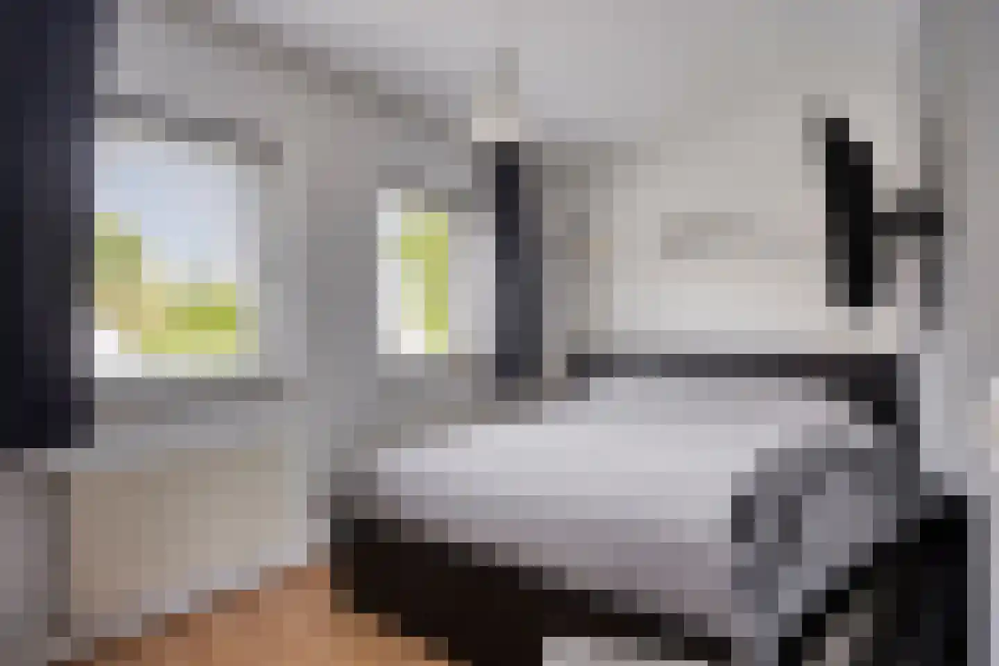 Hooiland 26 Geldrop thumbnail 64