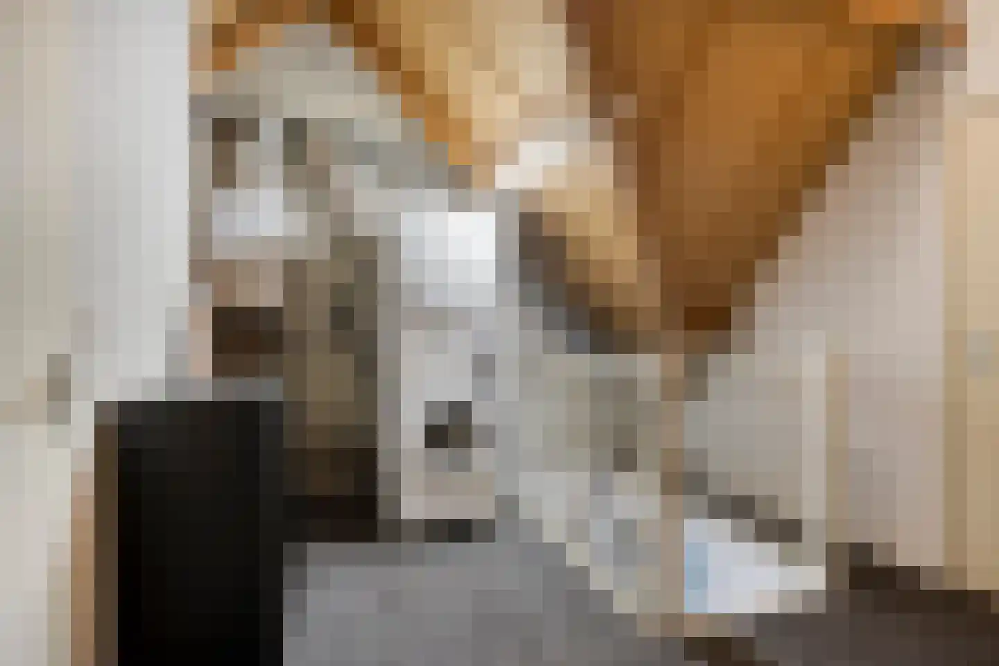 Hooiland 26 Geldrop thumbnail 66