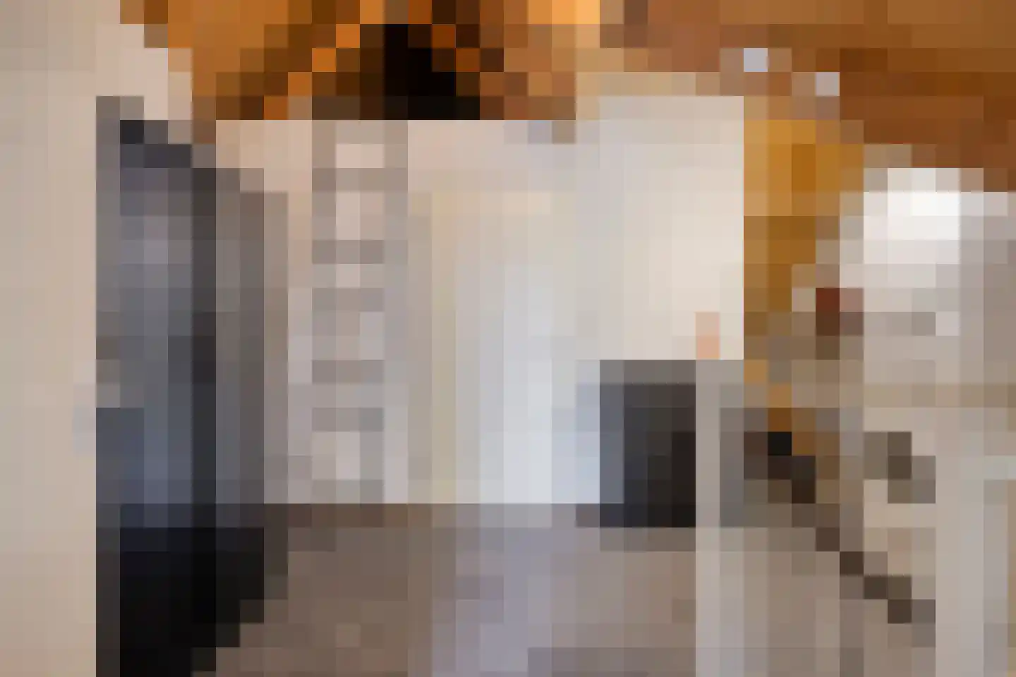 Hooiland 26 Geldrop thumbnail 67
