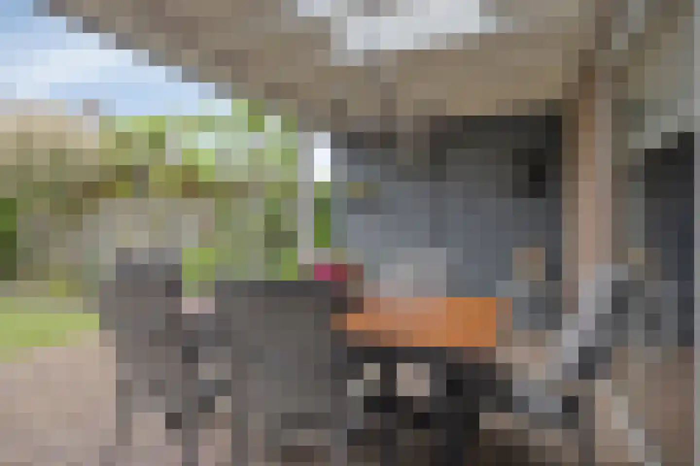 Hooiland 26 Geldrop thumbnail 80
