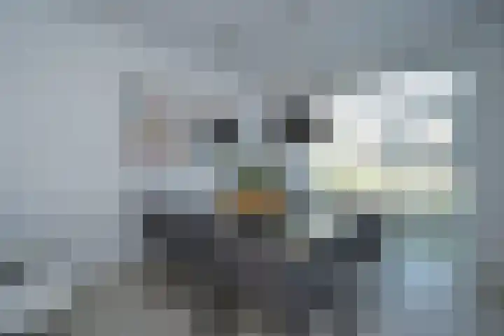 Hooiland 28 Drachten thumbnail 10