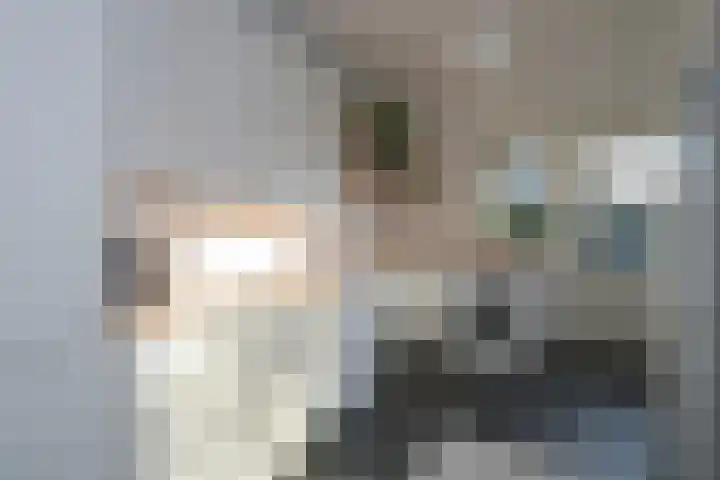 Hooiland 28 Drachten thumbnail 16