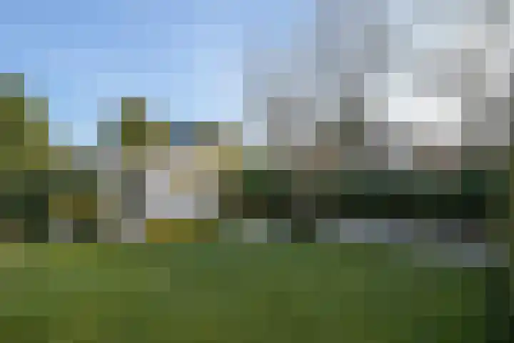 Hooiland 28 Drachten thumbnail 45