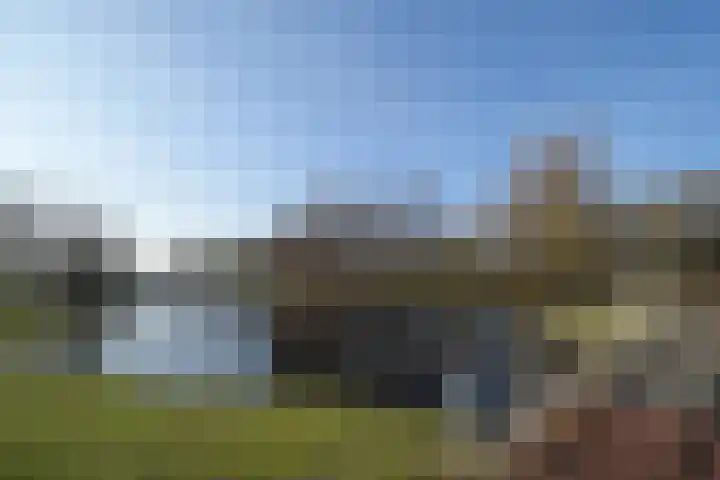 Hooiland 28 Drachten thumbnail 5