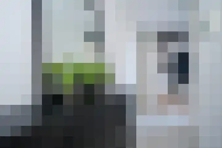 Hooiland 28 Drachten thumbnail 7