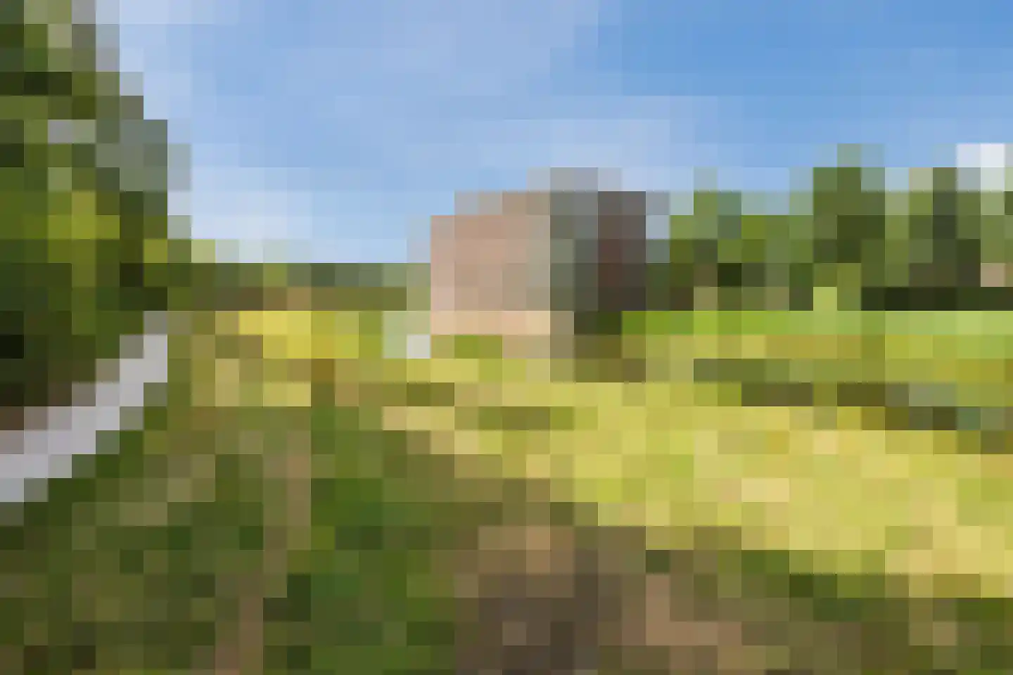 Hooiland 3 Drachten thumbnail 36
