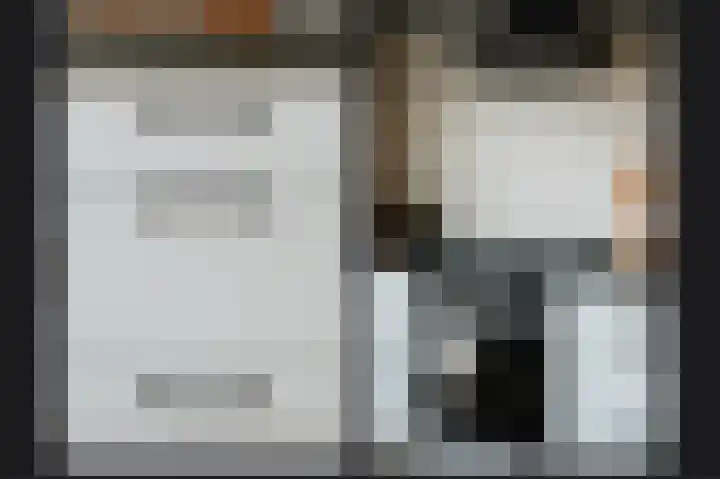 Hooiland 3 Lopik thumbnail 13