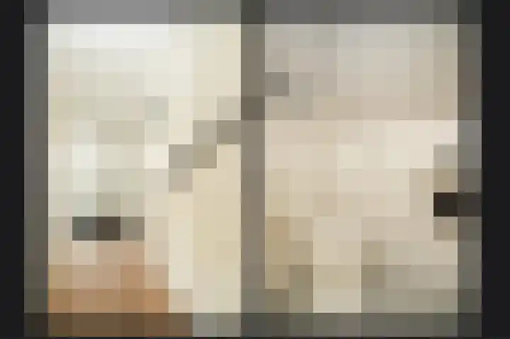 Hooiland 3 Lopik thumbnail 14