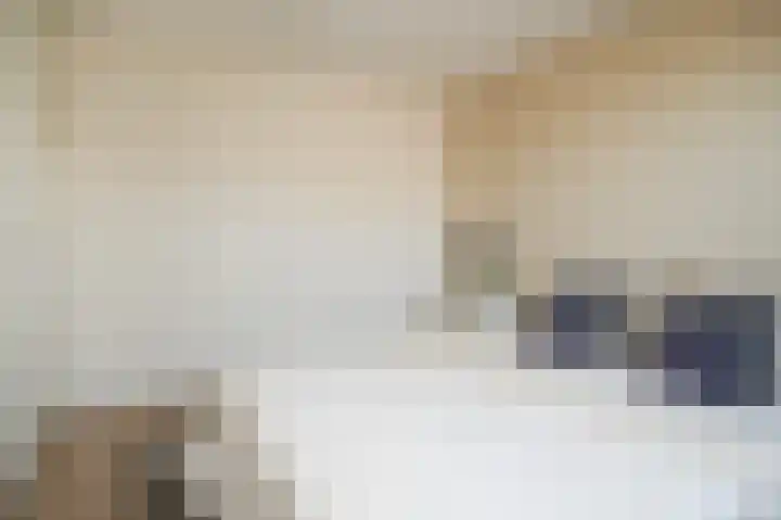 Hooiland 3 Lopik thumbnail 18