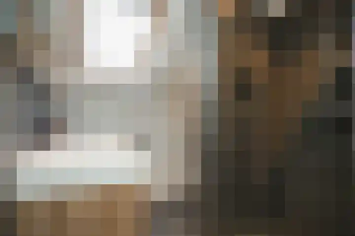 Hooiland 3 Lopik thumbnail 19