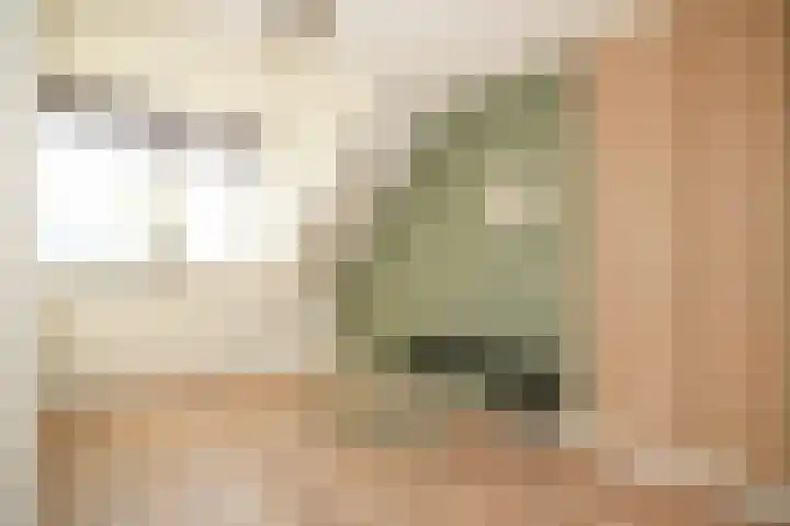 Hooiland 3 Lopik thumbnail 22