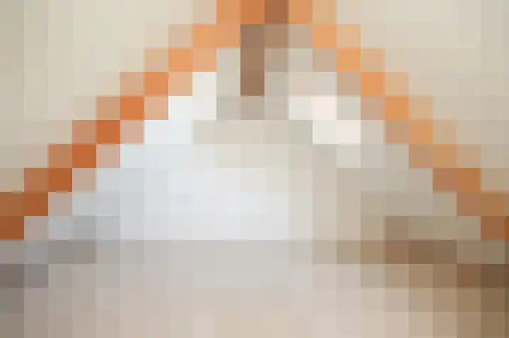 Hooiland 3 Lopik thumbnail 25