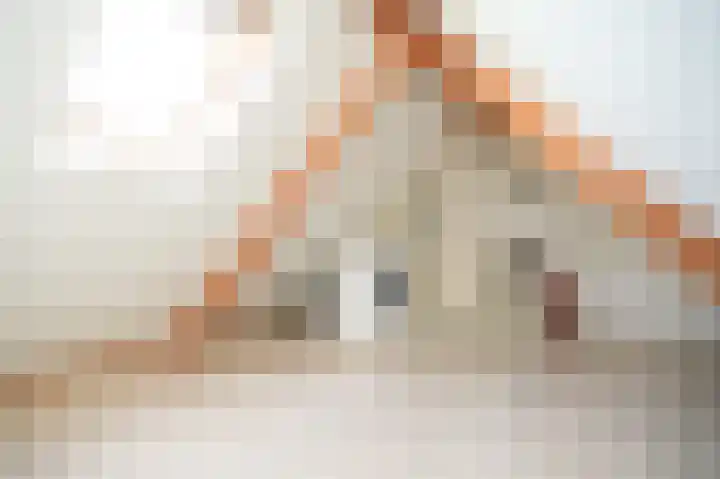 Hooiland 3 Lopik thumbnail 26