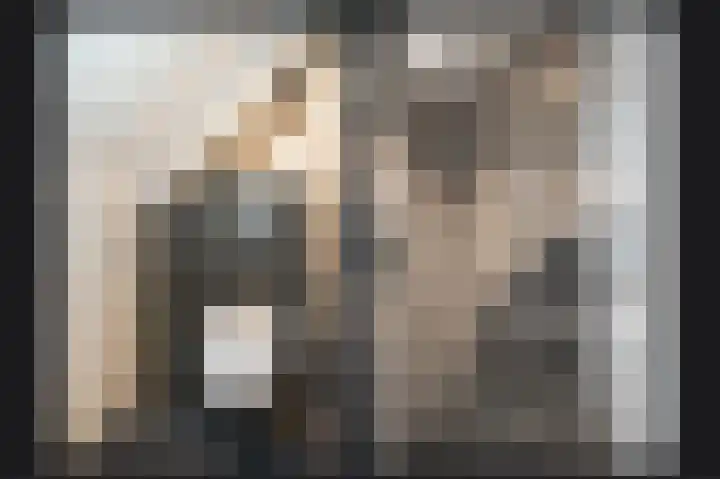 Hooiland 3 Lopik thumbnail 4