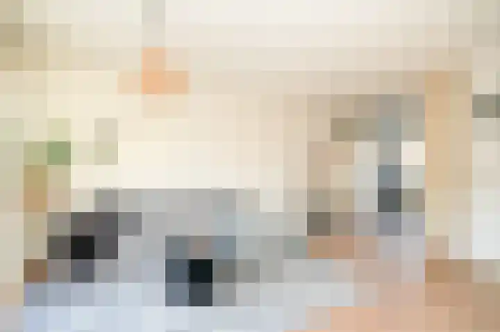 Hooiland 3 Lopik thumbnail 5