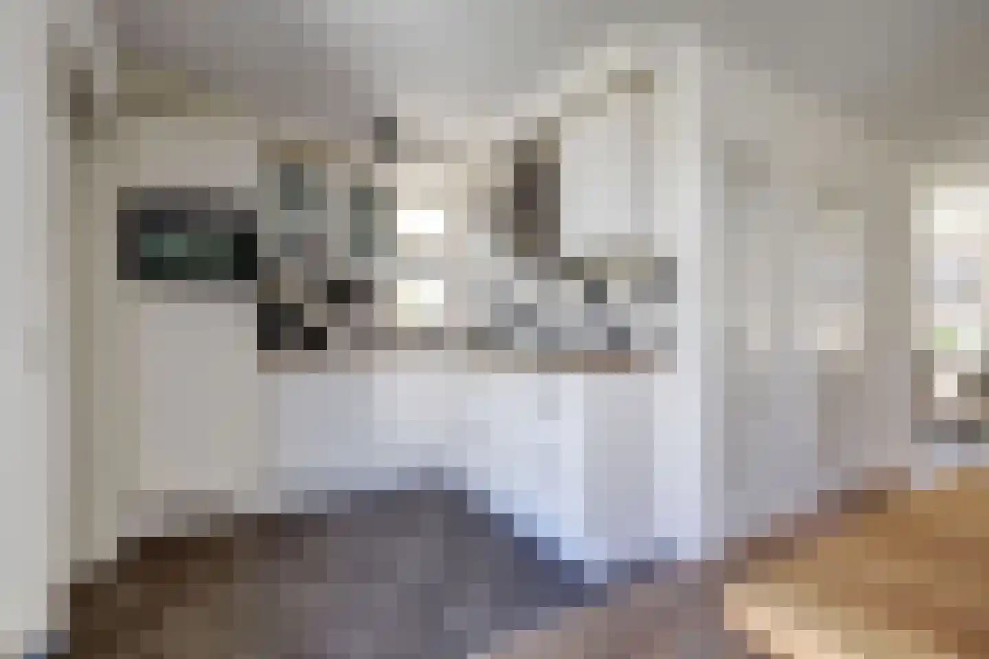 Hooiland 32 Wierden thumbnail 15
