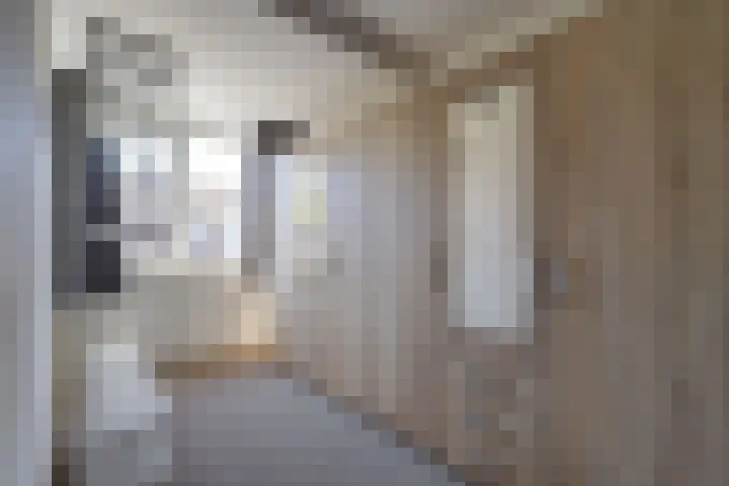 Hooiland 32 Wierden thumbnail 23
