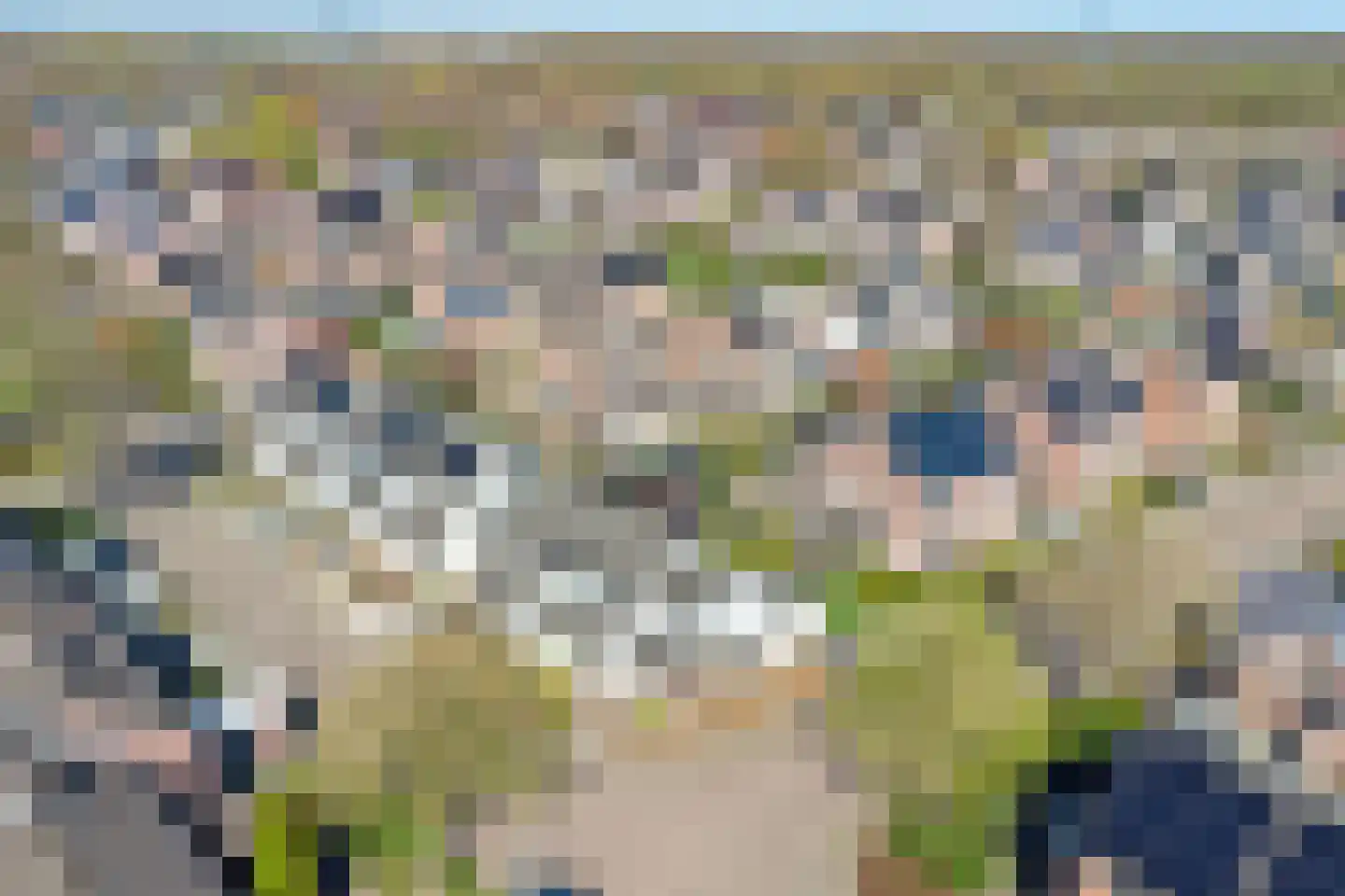 Hooiland 32 Wierden thumbnail 41