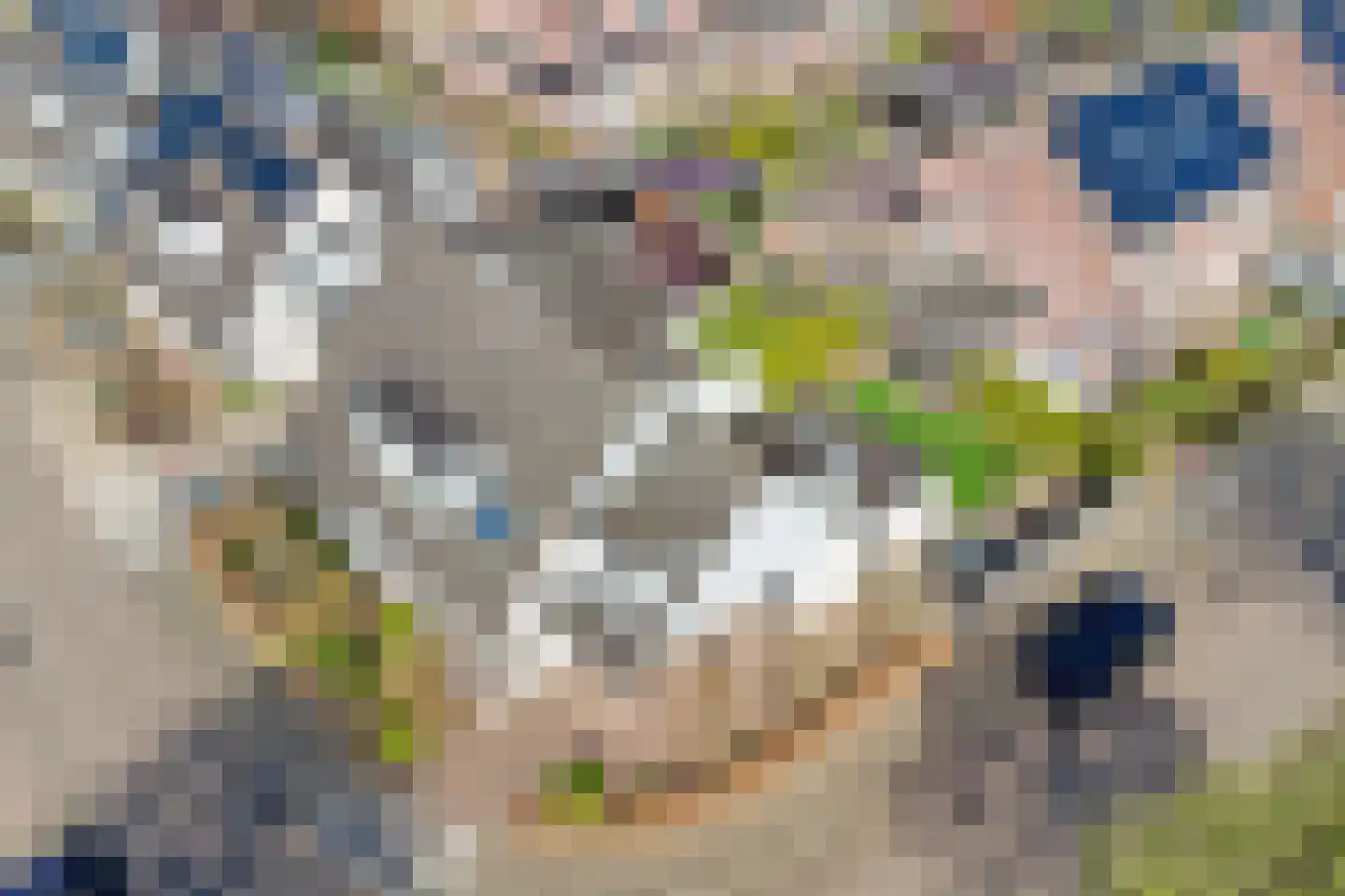 Hooiland 32 Wierden thumbnail 44