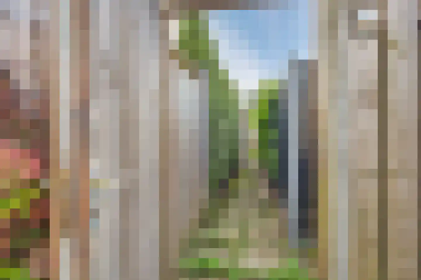 Hooiland 49 Wierden thumbnail 27