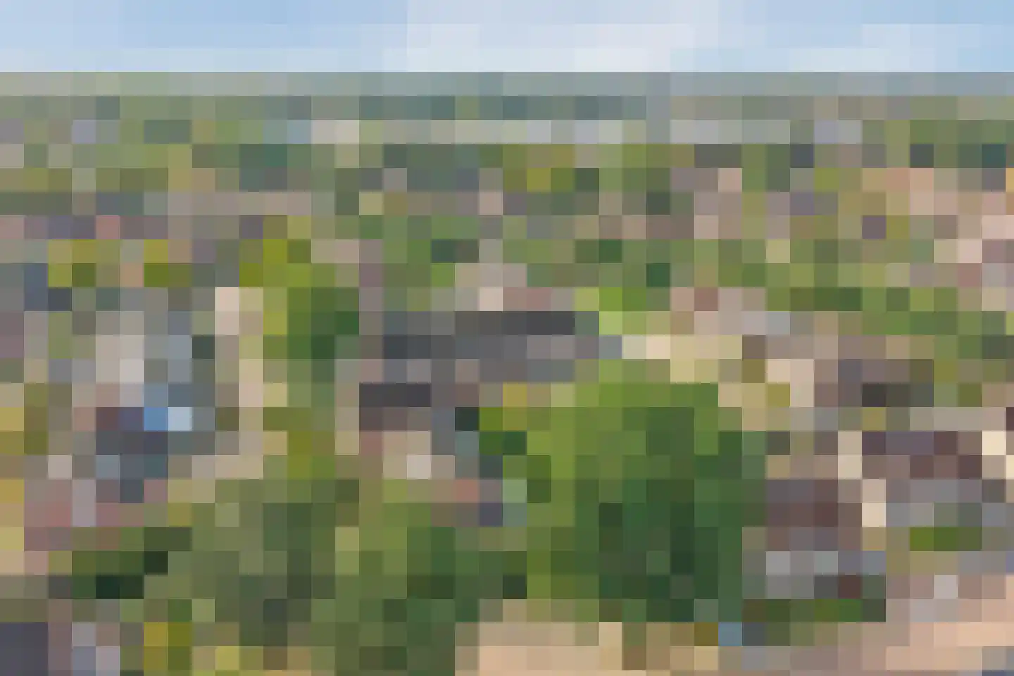 Hooiland 49 Wierden thumbnail 31