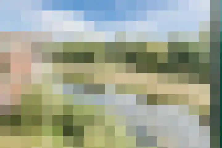 Hooiland 59 Drachten thumbnail 37