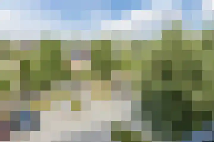 Hooiland 59 Drachten thumbnail 38