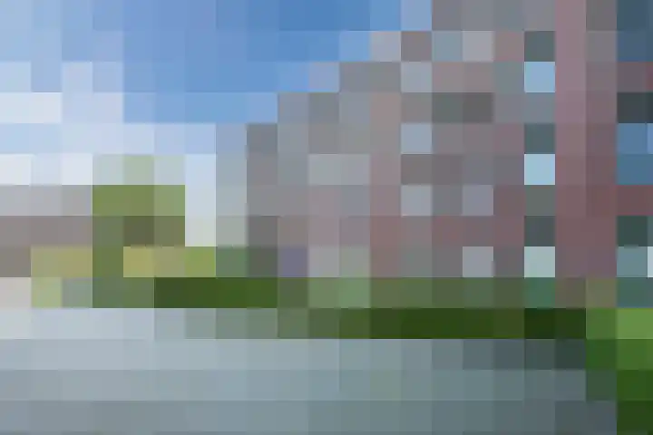 Hooiland 59 Drachten thumbnail 6