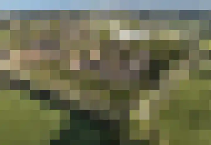 Hooiland 6 Ermelo thumbnail 4