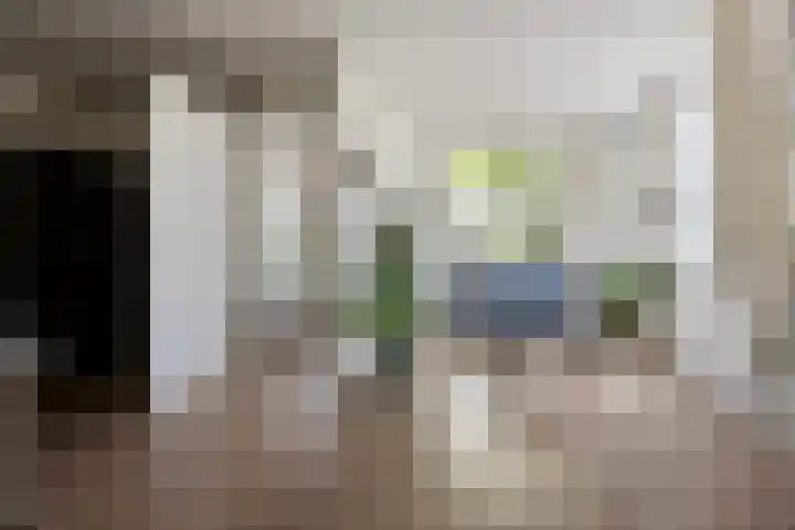 Hooilanden 11 Barneveld thumbnail 13