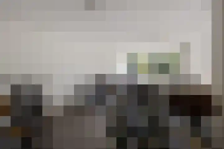 Hooilanden 11 Barneveld thumbnail 23