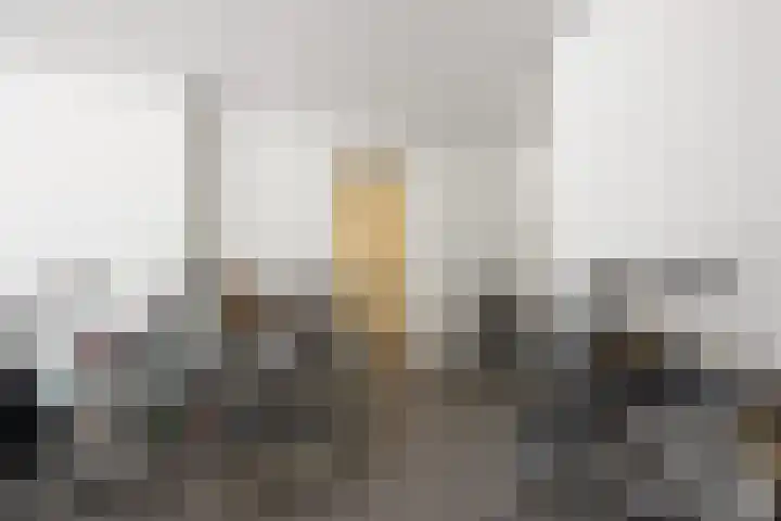 Hooilanden 11 Barneveld thumbnail 24
