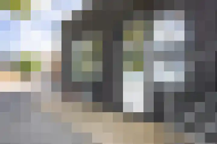 Hooilanden 11 Barneveld thumbnail 27