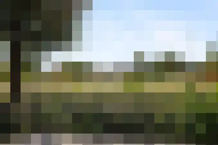 Hooilanden 11 Barneveld thumbnail 29