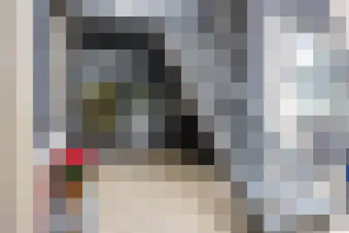 Hooilanden 11 Barneveld thumbnail 37