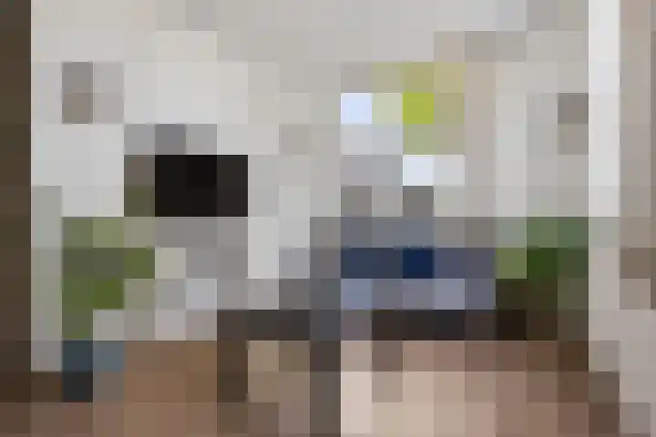 Hooilanden 11 Barneveld thumbnail 7