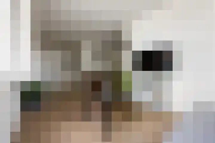 Hooilanden 11 Barneveld thumbnail 8