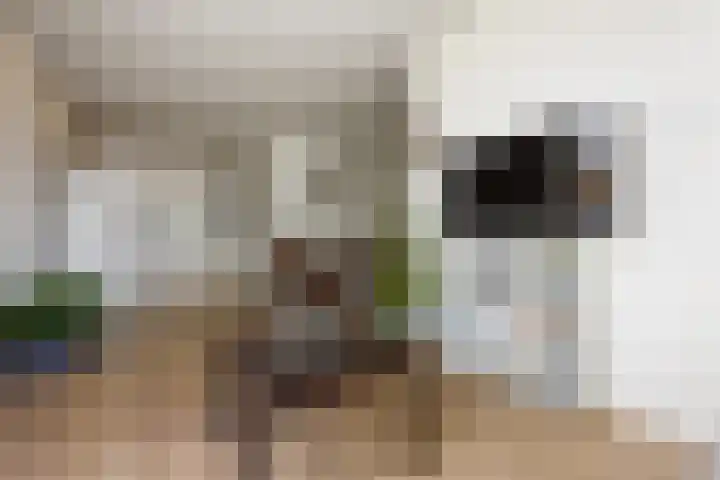 Hooilanden 11 Barneveld thumbnail 9