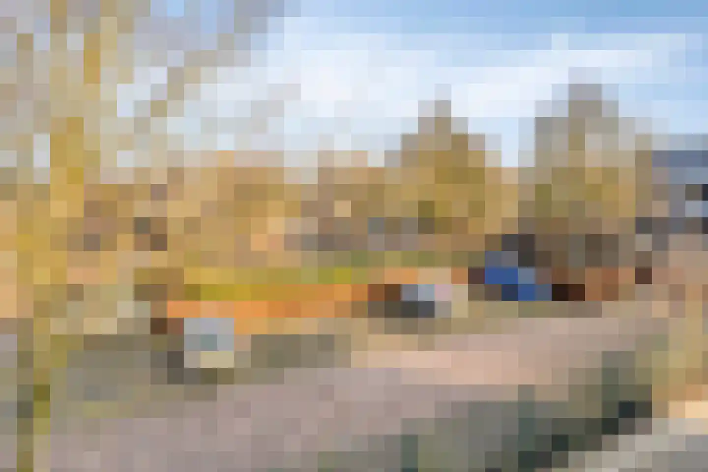 Hooilanden 23 Barneveld thumbnail 19