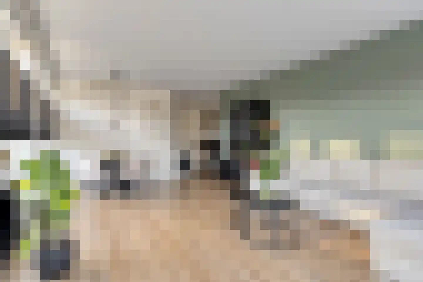 Hooilanden 23 Barneveld thumbnail 9