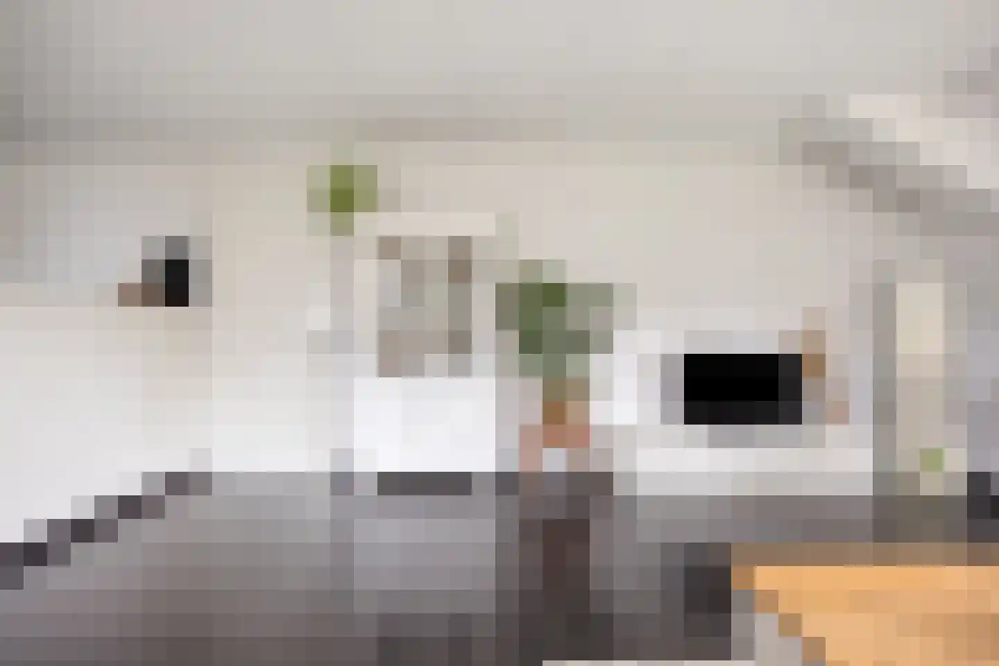 Hooilanden 29 Barneveld thumbnail 11