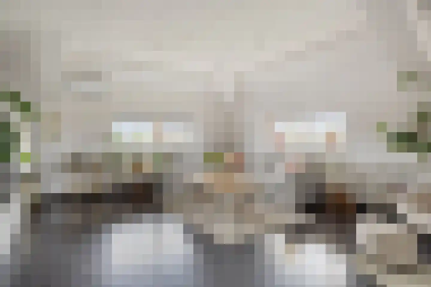 Hooilanden 29 Barneveld thumbnail 7
